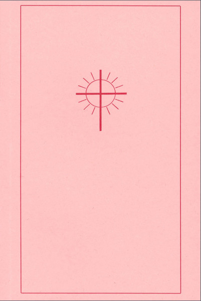 Die Auferstehung des Fleisches Otto Feuerstein Bücher Mensch Tod und Jenseits 