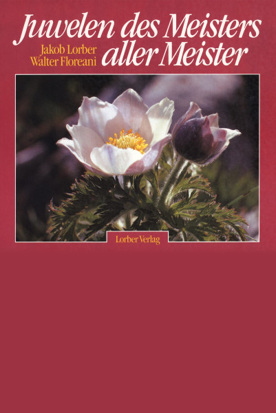 Walter Floreani: Juwelen des Meisters aller Meister Walter Floreani Bücher Meditation Spiritualität 